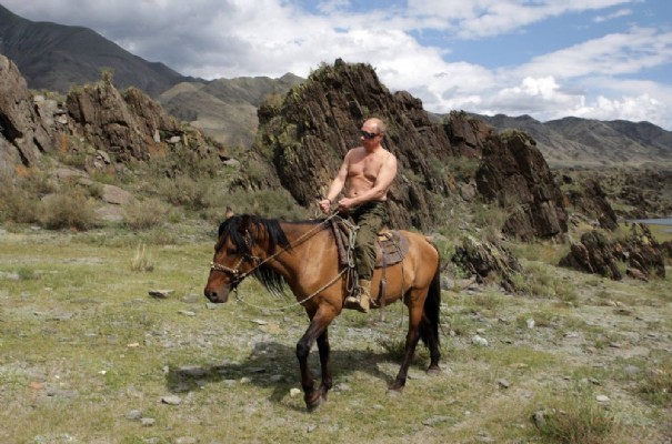 poutine-5-russia-s-prime-minister-putin-rides-a-horse-in-southern-siberia-s-tuva-region_397678
