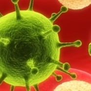 Découverte de l’une des clés du VIH pour infecter les cellules