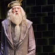 Animaux Fantastiques : Dumbledore ouvertement gay