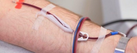 US : les homos autorisés à donner leur sang