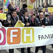 Manif pro-mariage gay : la vidéo