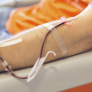 Don du sang : le Sénat supprime la loi anti-discrimination