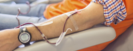 Don du sang : le Sénat supprime la loi anti-discrimination