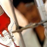 Londres assouplit les restrictions sur le don de sang par les gays