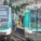 La SNCF et la RATP contre les discriminations