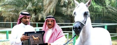 La fausse histoire de l’euthanasie du cheval saoudien gay
